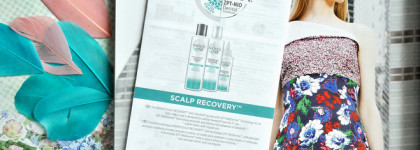 Nioxin Набор Система Scalp Recovery против перхоти
