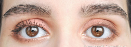 Vivienne Sabo Cabaret Premiere&Vivienne Sabo Fixateur Brow & Lash Fixing Gel