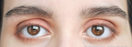 Vivienne Sabo Cabaret Premiere&Vivienne Sabo Fixateur Brow & Lash Fixing Gel