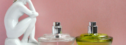 Dkny: Be Delicious Extra EDP и Be Delicious EDP