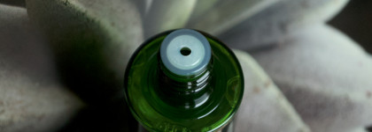 Увлажняющий тонер для лица The Saem Jeju Fresh Aloe Toner