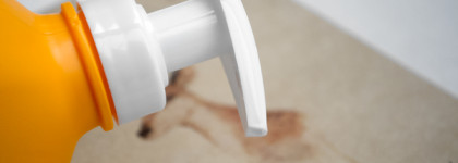 Camomilla Blu: масло и гели для душа