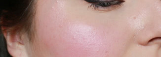 Bobbi Brown Cheek Glow Palette Pink Opal / Homecoming Pink