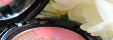 MAC Fruity Juicy Pearlmatte Face Powder – Oh My Passion