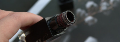 Глянцевый тинт для губ Dinto Blur-Glowly Lip Tint в оттенке 218 Memento Mori