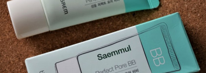 The Saem Saemmul Perfect Pore BB