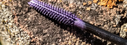 Все фиолетово с Vivienne Sabo Cabaret Premiere №04