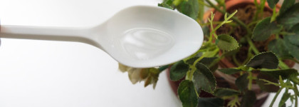 Розовое масло для умывания лица Bielenda Rose Care Cleansing Face Oil For Sensitive Skin