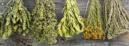 Pas d'espagne. Парфюмерный Дом Моды Ирины Вагановой