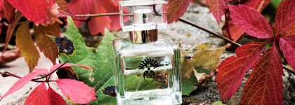 Бабочки Трейси. Парфюмерный Дом Моды Ирины Вагановой