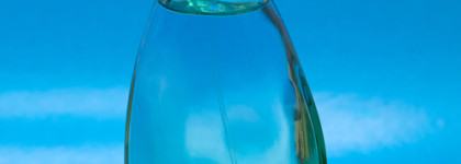 Неоправданные ожидания с Yves Rocher Naturelle L'Eau de Toilette