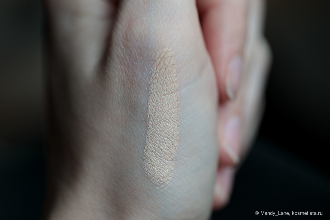 Shiseido synchro skin correcting gelstick concealer