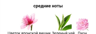 Новинка 2021...Green Tea Sakura Blossom от Elizabeth Arden