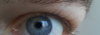 Очень ругательный пост на нежно любимый Clarins...Clarins lash & brow double fix' mascara