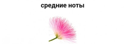 Jo Malone Silk Blossom Cologne