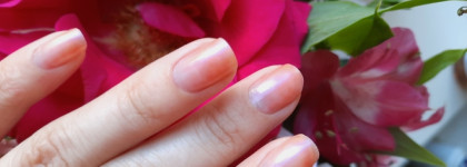 Belweder Porcelan в оттенке Aquarelle