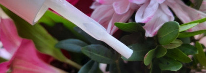 Belweder Porcelan в оттенке Aquarelle