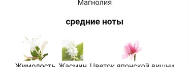 Необычный Kenzo Le Monde Est Beau