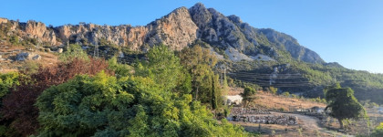 Мой улов из Duty Free: Jo Malone London English Pear Cologne Duo