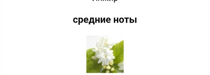 Жасминовый день: Dolce & Gabbana Dolce Blue Jasmine