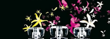 Легендарное лимитированное издание аромата урожая 2006 года: Givenchy Very Irrésistible Rose Centifolia de Châteauneuf de Grasse 2006 EDP