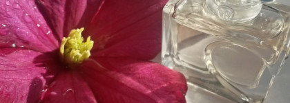 Такие разные мелодии: Туалетная и парфюмерная вода «Несколько нот любви» от Yves Rosher