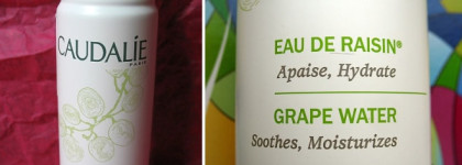 Мистика? Нет, просто Mistы. Обзор спреев для лица от L'Occitane, Caudalie и Decleor