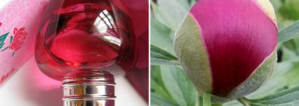 Цветок, воплощенный в аромате: Туалетная вода «Пион» L'Occitane Pivoine Flora EDT