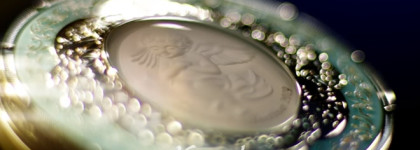 Культовая лимитированная шелковая пудра для лица Kanebo Face Up Powder Milano Collection 2019