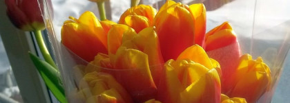 Весенний шлейф 8 марта: Парфюмерная вода Byredo La Tulipe EDP