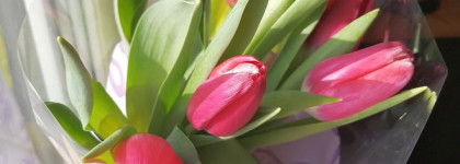 Весенний шлейф 8 марта: Парфюмерная вода Byredo La Tulipe EDP