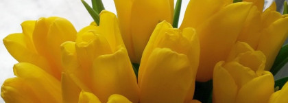 Весенний шлейф 8 марта: Парфюмерная вода Byredo La Tulipe EDP