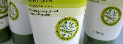 Охотники за скальпами: два любимых средства pre-shampoo для очистки кожи головы от Yves Rocher