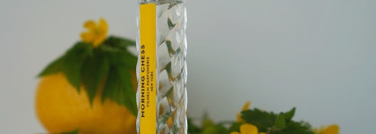 Северное лето в Парфюмерной воде Vilhelm Parfumerie Morning Chess EDP