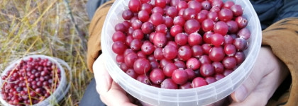 Северная красота из Финляндии: Lumene, Nakuna Helsinki и Муми-тролли
