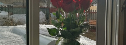 Парфюмерная вода Sisley Paris Izia EDP: мой весенний антистресс