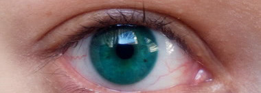 Clarins Wonder Perfect Mascara или за что меня ненавидит эта тушь?