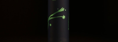 Girlcult Матовая помада из коллекции Compendium of Materia Medica в оттенке S03