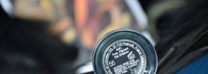 Стать лесной нимфой с рассыпчатым пигментом от Inglot AMC # 56