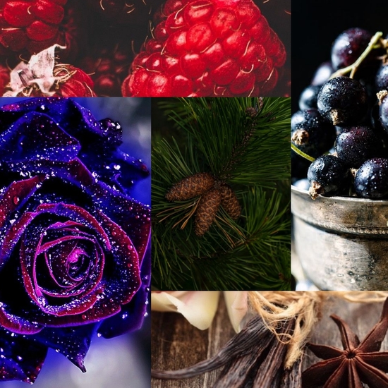 Мой новогодний аромат Lancome Tresor Midnight Rose