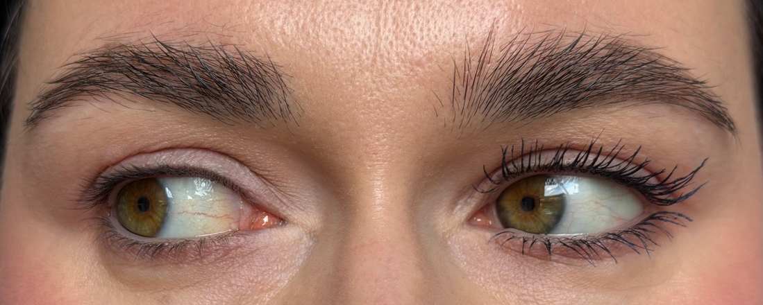 Дневной свет