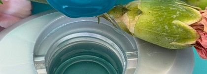 Монобренд: Kerastase — мое честное мнение о шампунях бренда