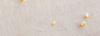 "Жемчужины масел" в Геле для душа от Nivea,"Цветок сакуры"