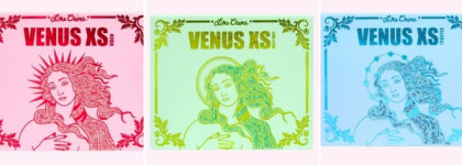 Праздничная коллекция от LimeCrime