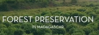 My Way - новый аромат от Giorgio Armani с нулевым углеродным следом