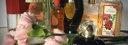 Гвоздика в семи ароматах