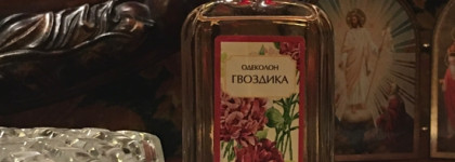 Гвоздика в семи ароматах