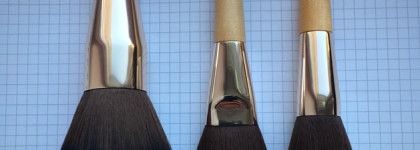 Густой лес кистей? Нет, мангровые заросли