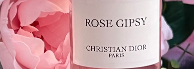 Три люксовых аромата с розой для жаркого лета