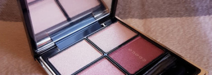 Розовая нежность Suqqu Designing Color eyes 04 Ayanadeshiko